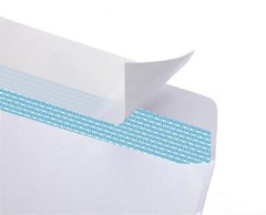 500#9 Double Window Self-Seal Envelopes – Security Tinted – (30139)