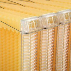 7 x Beekeeping Frames Bee Hive Frame for Auto Shed Beehive House Honey Boxes US