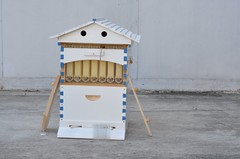 2026 White Wooden Auto Bee Hives Cedarwood + 7PCS Beekeeping Honey Hive Frames