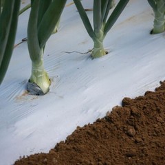 Farm Plastic Supply – Poly Mulch Black/White Polyethylene Film
