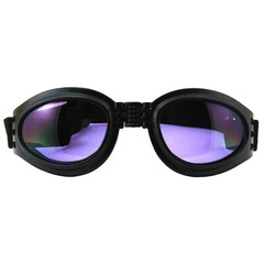 Birdz Eyewear Parrot Padded Motorcycle Goggles Black Frame + Purple Lens