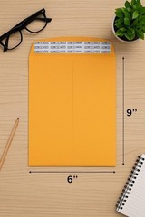 100 – Pack 6″x9″ Kraft Catalog Mailing Envelopes Mailers Peel Self Seal