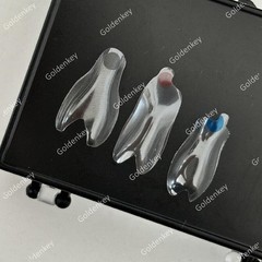 Clear Matrix Dental Anterior Posterior Transparent BT Matrices Fit BioClear