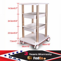 Beauty Salon Trolley Esthetician SPA Equipment Storage Stand Trolley Cart 360??