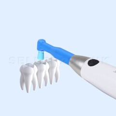 500 pcs Dental Disposable Prophy Angles Top Quality Money back guarantee Firm