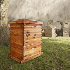 10-Frame Complete Beehive Kit: Beeswax Coated Hive with 2 Deep & 1 Medium Boxes
