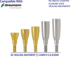 US Dental Healing Abutment Closure Fit Straumann ITI Mini Regular