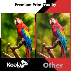 Koala Inkjet Transparency Film Clear 8.5×11 20 Sheet Overhead Projector Crafts