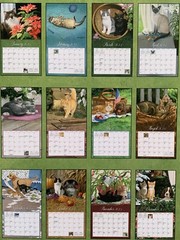 Love Of Cats 2023 Lang Wall Calendar