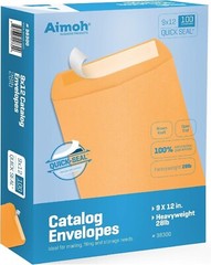 Durable 9×12 Self-Adhesive Kraft Envelopes for Business & Promotion – 100 Ct