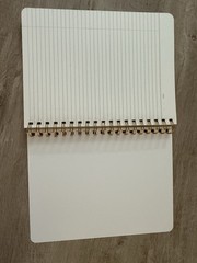 Fringe Studio Notebook Journal With Pockets-Van Gogh Love Spiral 240 lined pages