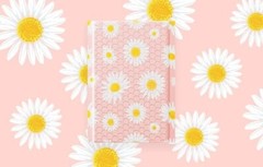 Jiaro Pack Cute Daisy Bubble Mailer Flower Padded Envelope Mailing 6×10″ 100Pcs
