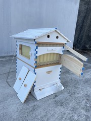 2026 White Wooden Auto Bee Hives Cedarwood + 7PCS Beekeeping Honey Hive Frames