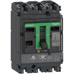 Schneider Electric C25N3TM160 NSX250N disj TMD 160A 3P3D fx-