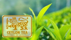 Black Tea Premium Pure BOPF 100% Ceylon Natural High Quality Tea bags