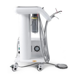 360° Swivel Dental Hygiene Prophy Handpiece Air Motor 4 Holes W/ 4:1 Nose Cone