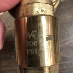 PROLINE BRS SPRING CHECK VALVE 3/4FIP 200 PSI (2-Pack)