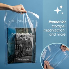 Durable 8×10 Zip Seal Plastic Bags – 1000 Count 2 Mil Airtight Packaging