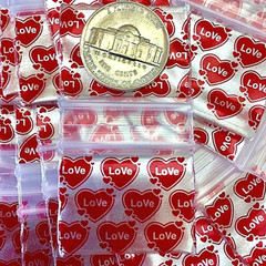BaggiesSince1987 – 12510-S Design ZipBags 50 DSN CHOOSE DSN & Q’TY, READ DETAILS