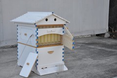 7x Upgraded Auto Honey Beehive Bee hive Frames + Auto Bee House + Hive Stand