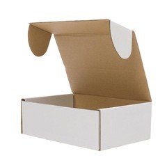 50 – 6x4x2 White Corrugated Shipping Mailer Carton Packing Fold Box