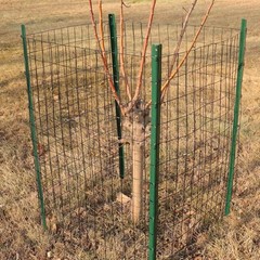 Black PVC Coated Welded Wire Fence 36 Inch x 100 Foot, 2 Inch x 3 Inch 16GA, …