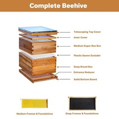 10 Frame Medium Super Bee Hive Box, Langstroth Honey Bee Hive Dipped in 100% Bee