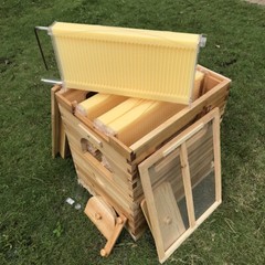 7 x Beekeeping Frames Bee Hive Frame for Auto Shed Beehive House Honey Boxes US