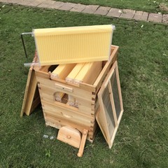 7 x Beekeeping Frames Bee Hive Frame for Auto Shed Beehive House Honey Boxes US