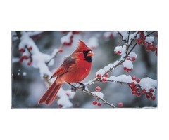 Bird Choice 2 Year 2026 – 2027 Pocket Size Calendar Planner with Notepad