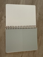 Fringe Studio Notebook Journal With Pockets-Van Gogh Love Spiral 240 lined pages