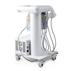 360° Swivel Dental Hygiene Prophy Handpiece Air Motor 4 Holes W/ 4:1 Nose Cone