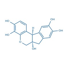 Hematoxylin Powder, 25 Grams, Purity Above 99%, CAS 517-28-2