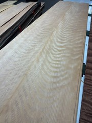 Euro Beech Raw Wood Veneer 2 sheets 100” x 14” 430Q