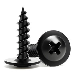 Wood Screws 3/4 Inch 125 PCS Premium Phillips Truss Head Black Wood Scr