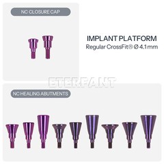 Dental Healing Cap Abutments NC/RC Cover Screw Titanium Fit Straumann ITI BLT