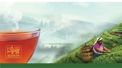 Black Tea Premium Pure BOPF 100% Ceylon Natural High Quality Tea bags