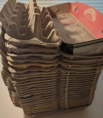 25 Clean Empty Egg Cartons 12 count Pulp Paper Cardboard for Dozen Large Eggs