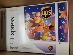 Case of 10 NEW Melissa Mathieson X UPS Holiday Limited Express Boxes!