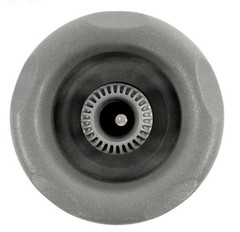 Waterway Plastics 212-7637 Jet Intl WW Power Storm 5fd Dir Textured Scal Gry