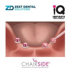 Zest CHAIRSIDE® Genuine Attachment Processing Material Normal Set, 8gm