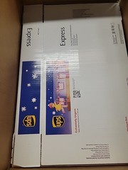 Case of 10 NEW Melissa Mathieson X UPS Holiday Limited Express Boxes!