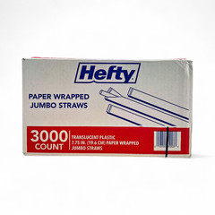Hefty Jumbo Translucent Idividually Wrapped Plastic Straws, 7.75″ – 3,000 Count