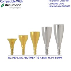 US Dental Healing Abutment Closure Fit Straumann ITI Mini Regular