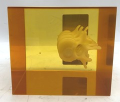 Hologic DPA/QDR-1 Bone Densitometer Anthropomorphic Spine Phantom 030-1967