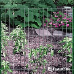 16 Gauge Green Vinyl Coated Welded Wire Mesh Size 2 inch X 3 inch