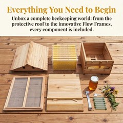Auto Bee Hive Automatic Beekeeping Box Set for Beginners with 7pcs Bee Frames