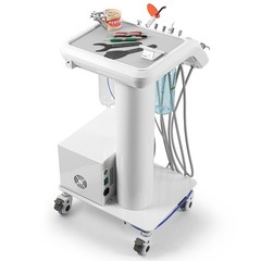 US Woodpecker Dental UDS-P Ultrasonic Piezo Scaler Handpiece Scaling+Perio+Endo