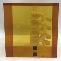 Hologic DPA/QDR-1 Bone Densitometer Anthropomorphic Spine Phantom 030-1967