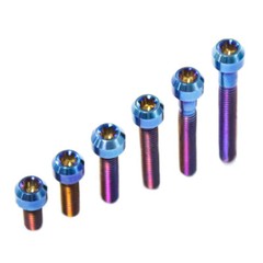 Titanium Socket Screws inner plum head Ti Bolts M4x10 15 20 25 30mm